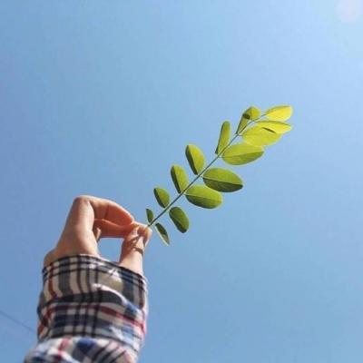 给女人带来感情好运的微信头像图片
