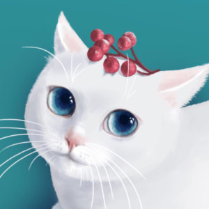 适合做微信头像的猫咪图片