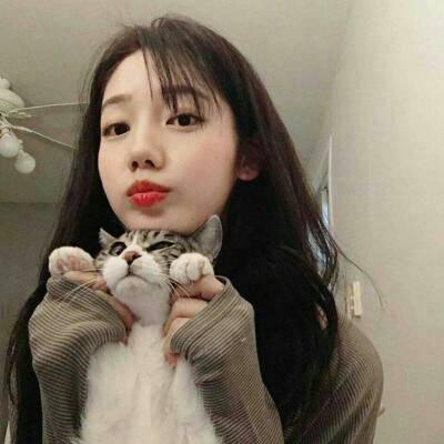 微信带猫头像女