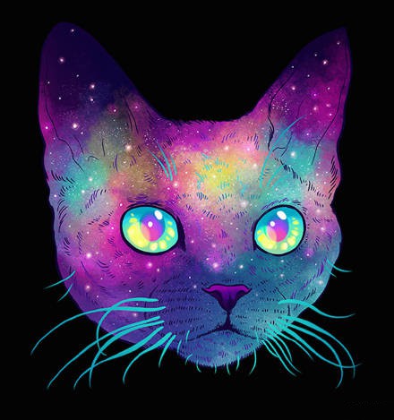 头像霸气冷酷猫咪