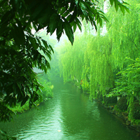 实景山水头像图片