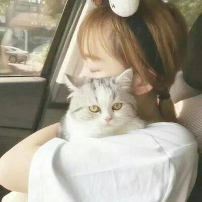 微信带猫头像女