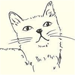 可爱猫简笔画头像