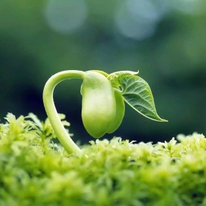 简单随意淡然优雅安静有内涵高清微信头像