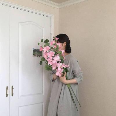 抖音女生头像高冷背影图片