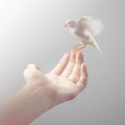 给女人带来感情好运的微信头像图片