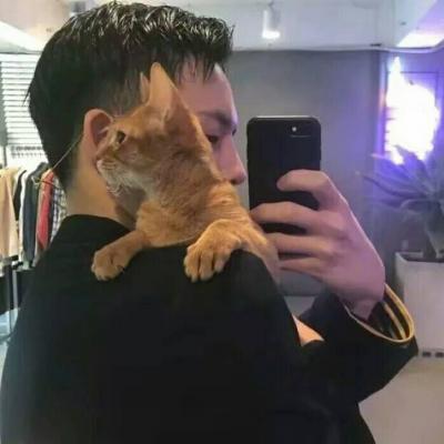 男生头像抱着宠物的图片