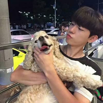 男生头像抱着宠物的图片