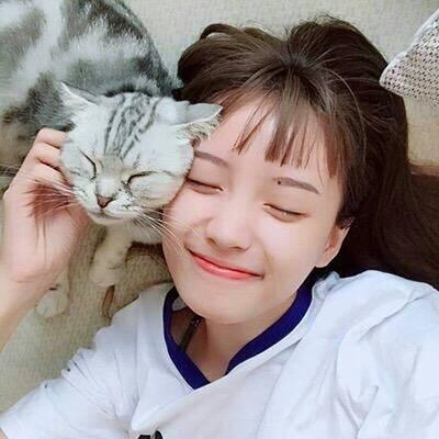 微信带猫头像女