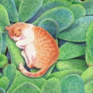 适合做微信头像的猫咪图片