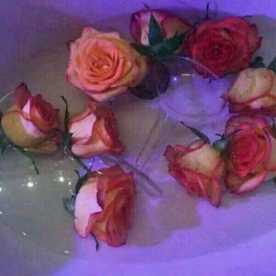 玫瑰花图片头像