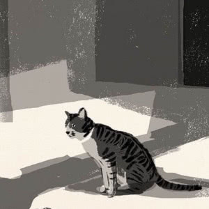 适合做微信头像的猫咪图片