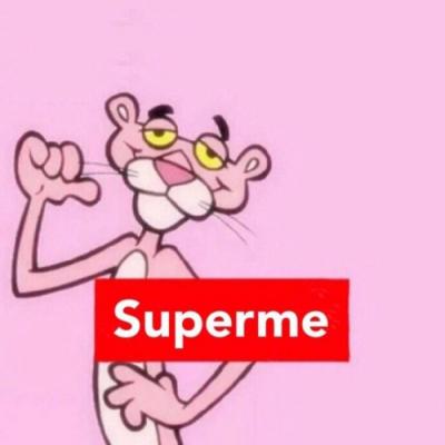 微信头像可爱好玩