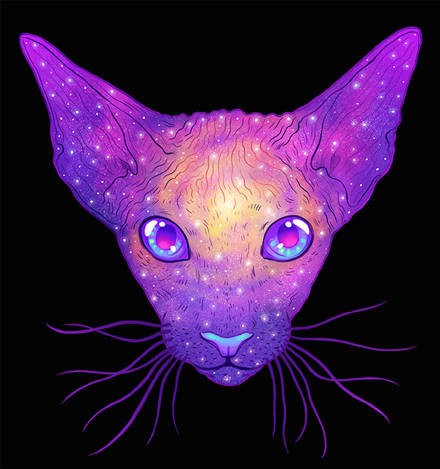 头像霸气冷酷猫咪