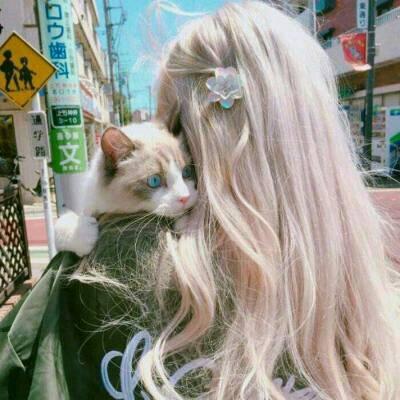 微信带猫头像女