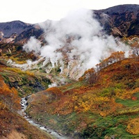 清新自然风景图片头像