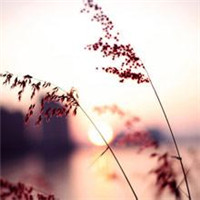 qq空间唯美风景头像图片
