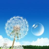 qq空间唯美风景头像图片