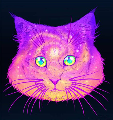 头像霸气冷酷猫咪