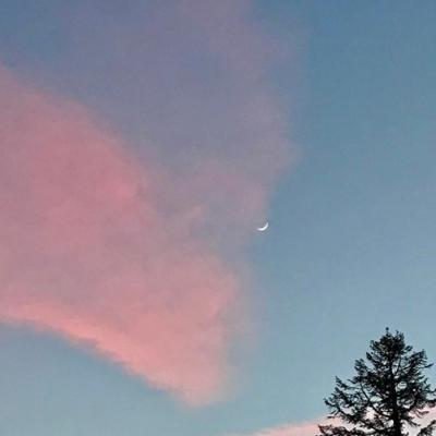 美好生活唯美充满阳光正能量高清头像