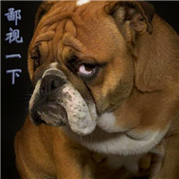 鄙视的头像图片