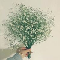 满天星QQ头像