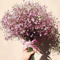 qq头像女生捧花满天星图片