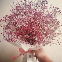 qq头像女生捧花满天星图片
