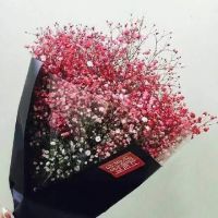 满天星QQ头像