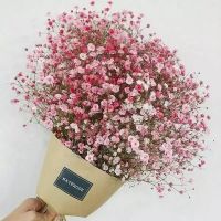 满天星QQ头像