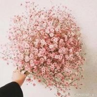 满天星QQ头像