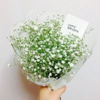 qq头像女生捧花满天星图片
