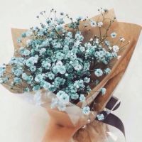 qq头像女生捧花满天星图片