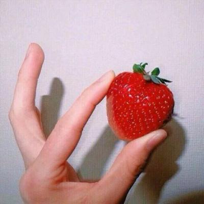 女生头像少女心静物
