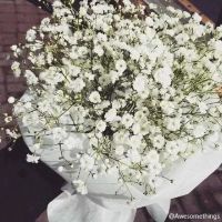 满天星QQ头像