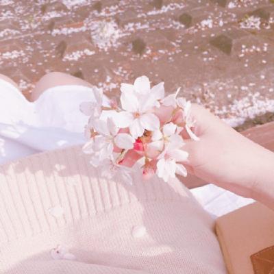 女生头像少女心静物