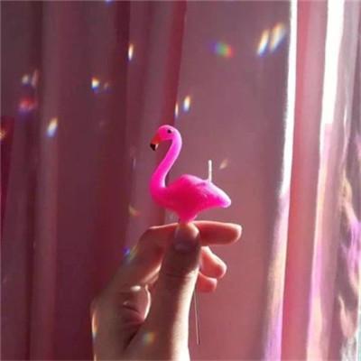 女生头像少女心静物