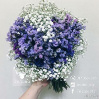 满天星QQ头像