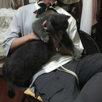 男生和宠物高清微信头像