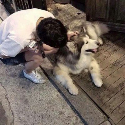 男生和宠物高清微信头像