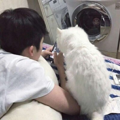 男生和宠物高清微信头像