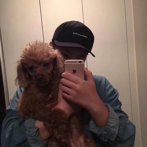 手机挡脸超帅男生头像图片