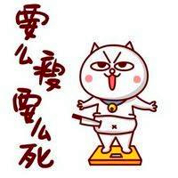 可爱不瘦不换头像图片