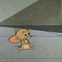 情侣头像猫和老鼠搞笑图片