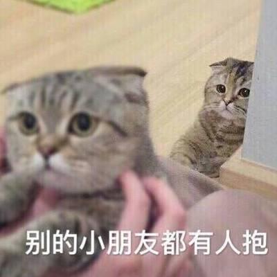 猫咪头像高清带字可爱图片