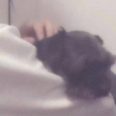 qq情头高清优质图片