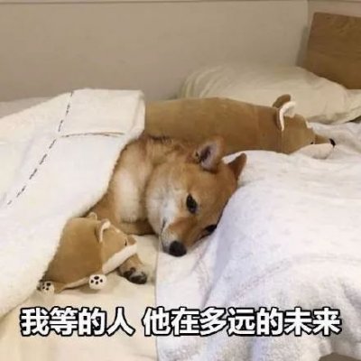 单身狗头像搞笑带字图片
