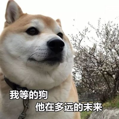 单身狗头像搞笑带字图片