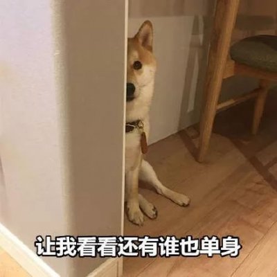 单身狗头像搞笑带字图片