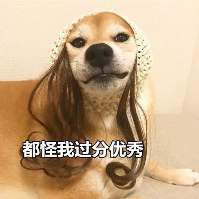 单身狗头像搞笑带字图片